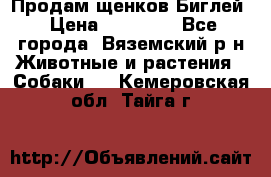 Продам щенков Биглей › Цена ­ 15 000 - Все города, Вяземский р-н Животные и растения » Собаки   . Кемеровская обл.,Тайга г.